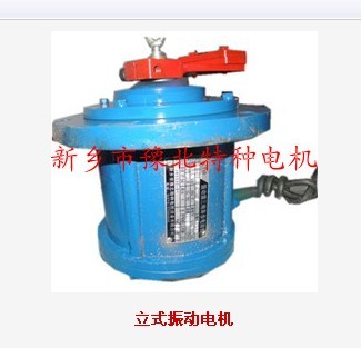 立式振動(dòng)電機(jī)