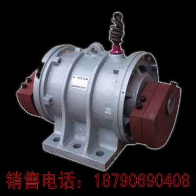 廠家供應(yīng)振動電機(jī)