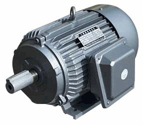 Y系列三相異步電動機