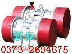 TZD21-6C振動電機(jī)