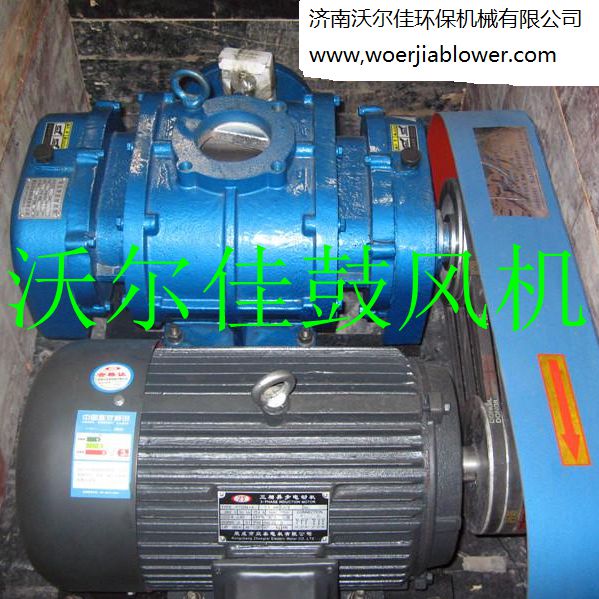 直聯(lián)SR300羅茨鼓風(fēng)機(jī)/污水處理、三葉羅茨鼓風(fēng)機(jī)