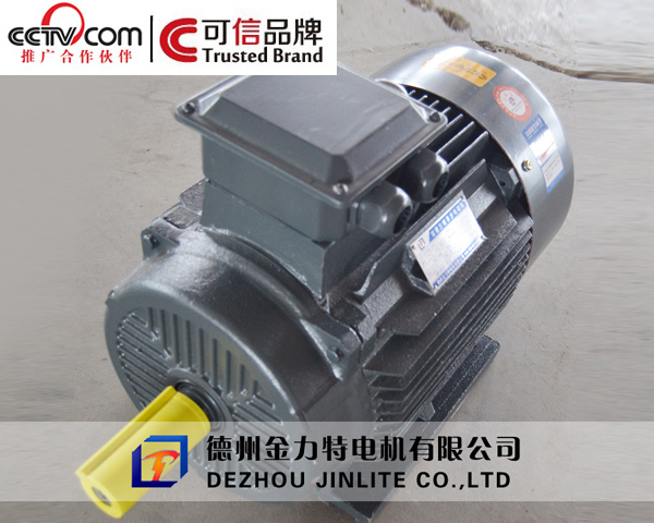 金力特YE2系列高效節能三相異步電動機