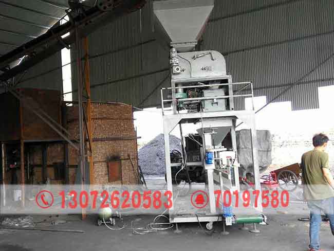 河北工業型煤定量包裝秤