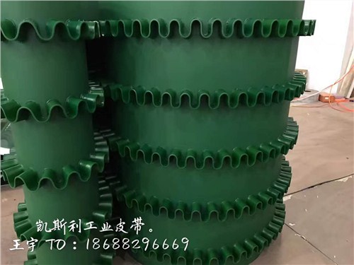 報(bào)價(jià)合理的食品輸送帶|批發(fā)食品輸送帶價(jià)位|食品輸送帶廠家直銷|凱斯利供