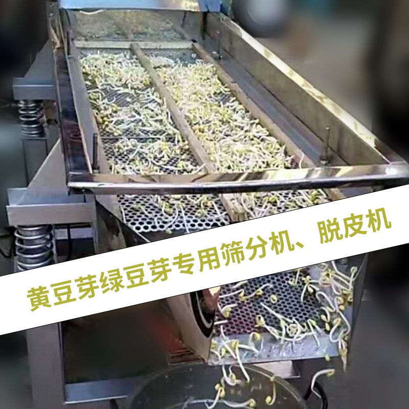 			 豆芽去皮篩、黃豆芽脫皮篩、不銹鋼直線振動篩			 