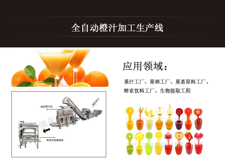 橙汁加工生產(chǎn)線(xiàn)設(shè)備