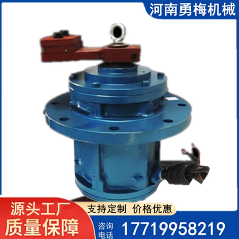 超聲波旋振動篩立式振動電機(jī) 粉塵防爆立式電機(jī)