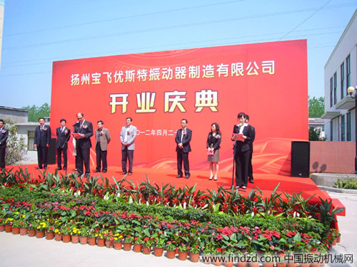 振動器合作慶典儀式