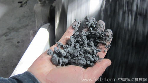 上海盾牌篩網琴弦防堵篩網再立新功