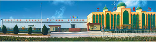 河南省民委主任彭亞平一行至振動(dòng)篩龍頭企業(yè)河南太行振動(dòng)機(jī)械調(diào)研