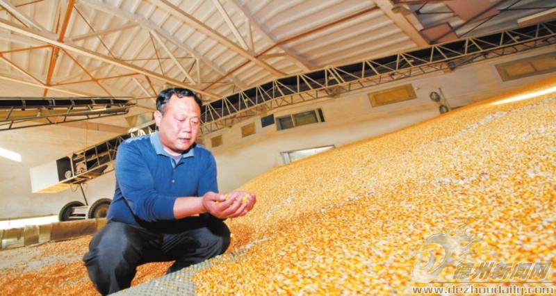 檢驗合格的糧食還要經過振動篩除去雜質