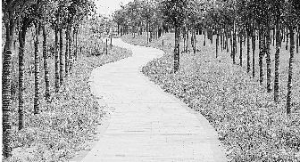 東四環生態廊道上鋪設的正是用建筑垃圾制成的路面磚