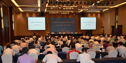 工業和信息化部原材料工業司處長陳愷民