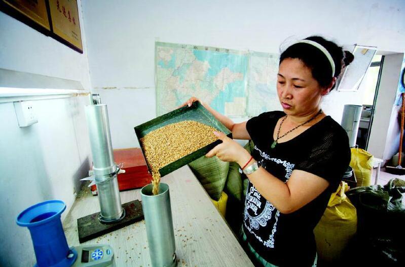 讓糧食干凈入庫的功臣振動(dòng)篩-助力德州今年累計(jì)收購小麥68萬噸