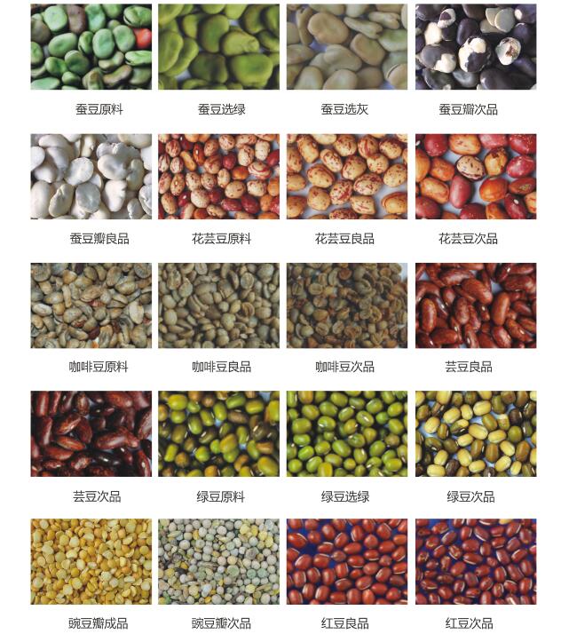 大豆物料圖.jpg