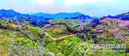 　一到春天，漫山遍野的李花競相開放，引得游客紛至沓來