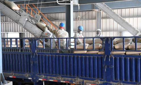 索科托水泥廠生產的水泥出庫