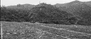 露天礦山通過綜合整治將實現礦山復綠、礦山復耕