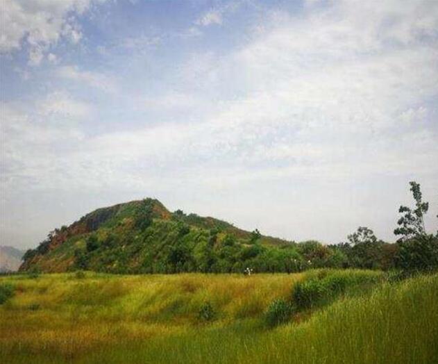 修復(fù)后的礦山綠草茵茵