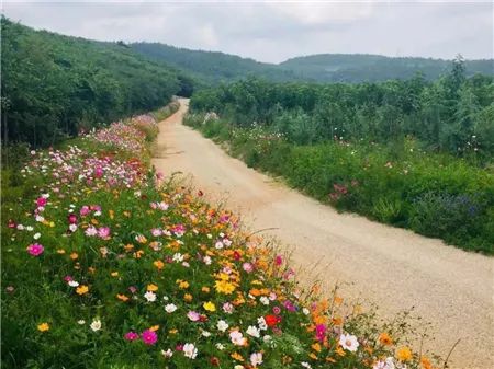 礦山生態修復后開采邊坡平臺間道路情況