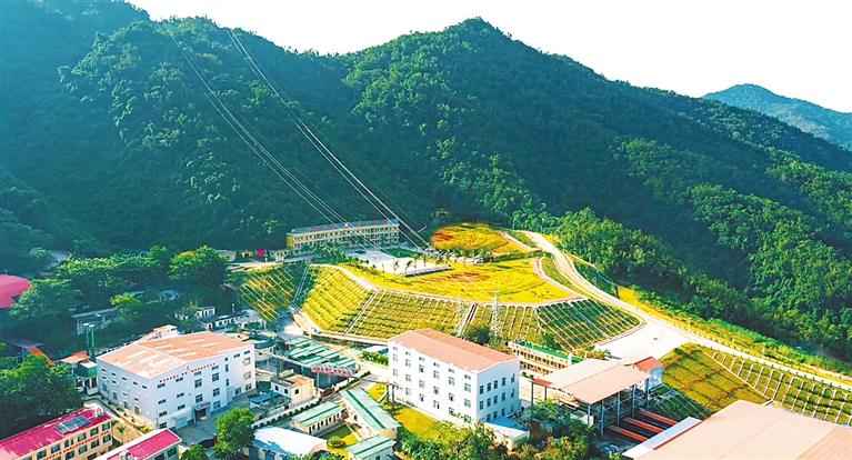 海南山金礦業有限公司礦山一角