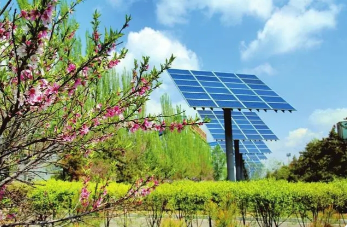 圖為塔山礦園區內的太陽能光伏板