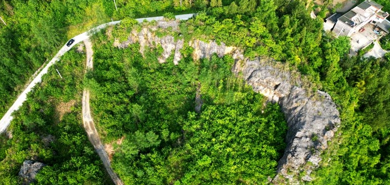 5月21日拍攝的咸豐縣曲江鎮(zhèn)黃泥塘村一座復(fù)綠廢棄礦山。